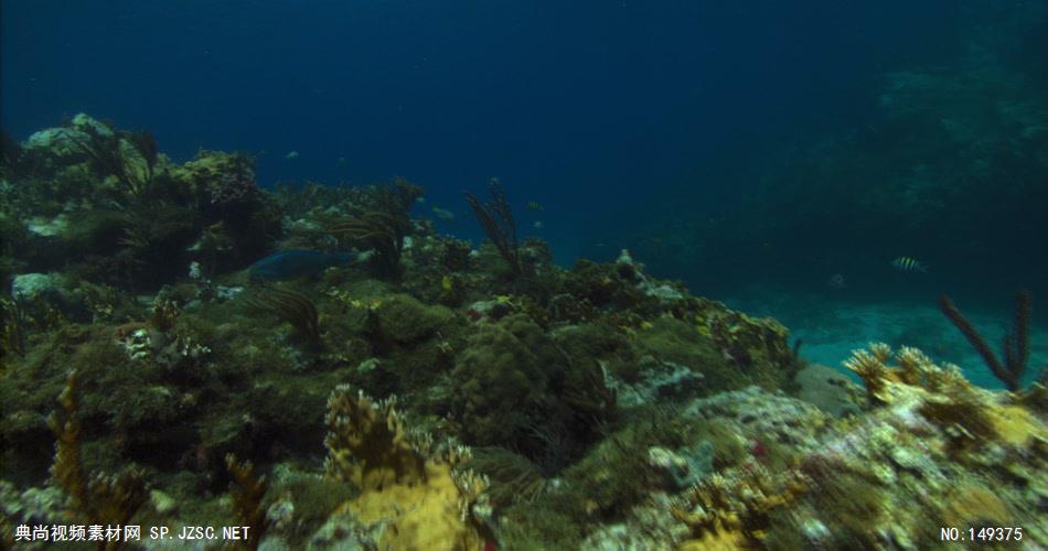 UN102H海底世界高清实拍视频素材合辑