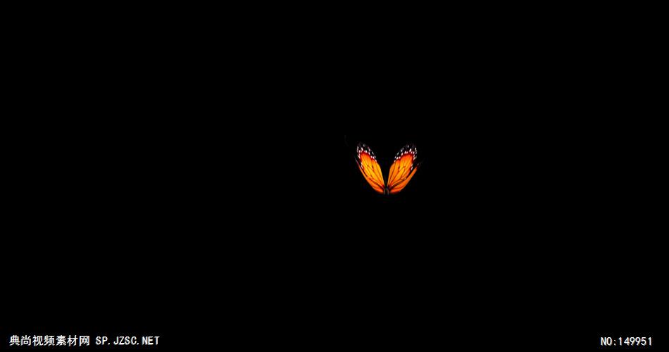 蝴蝶（带透明通道） 中国风视频 背景视频