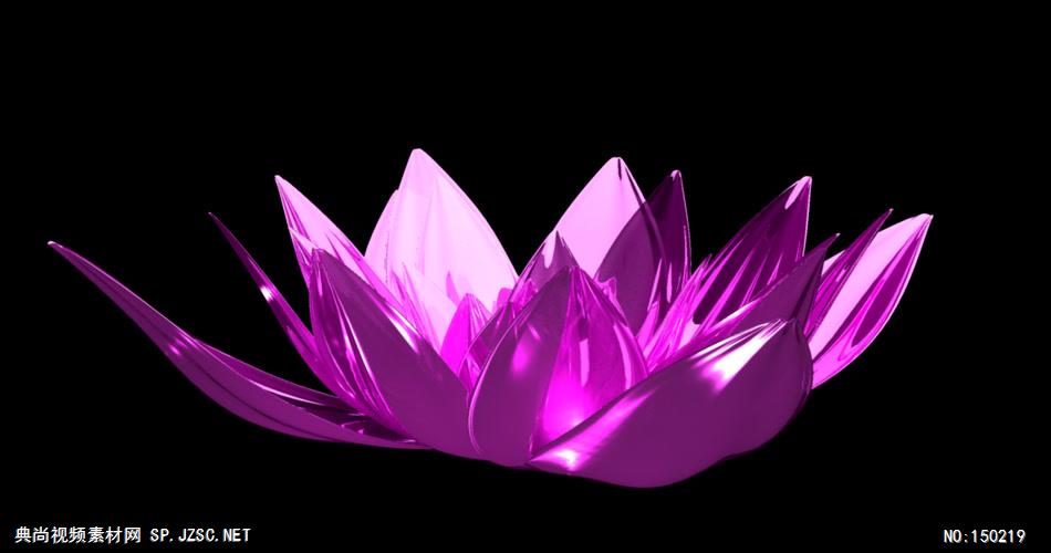 紫色水晶莲花（带通道） 中国风视频 背景视频
