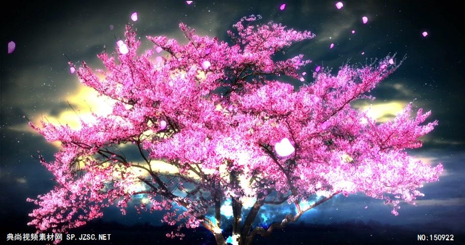 A024-唯美夜色中的流光樱花树