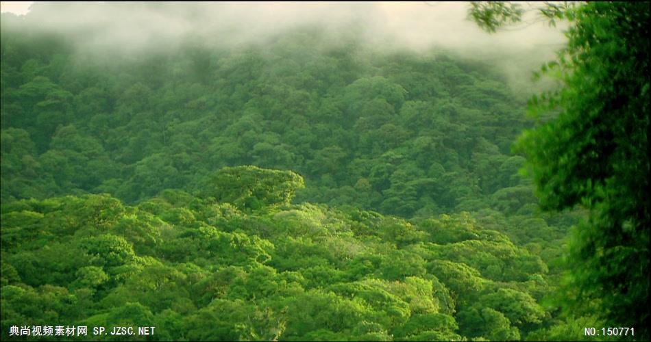 0763-山间雾气-自然美景实拍视频