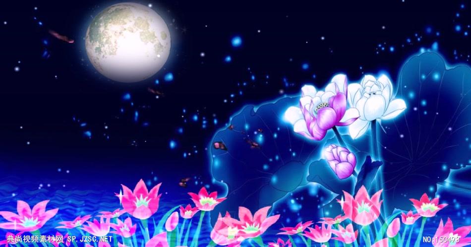 YM1782唯美夜色月亮星空星星夜晚 夜色 明月 荷花 中国风视频 背景视频