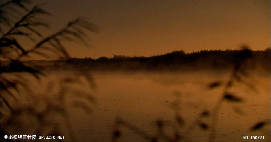 0759-清晨湖面雾气2-自然美景实拍视频