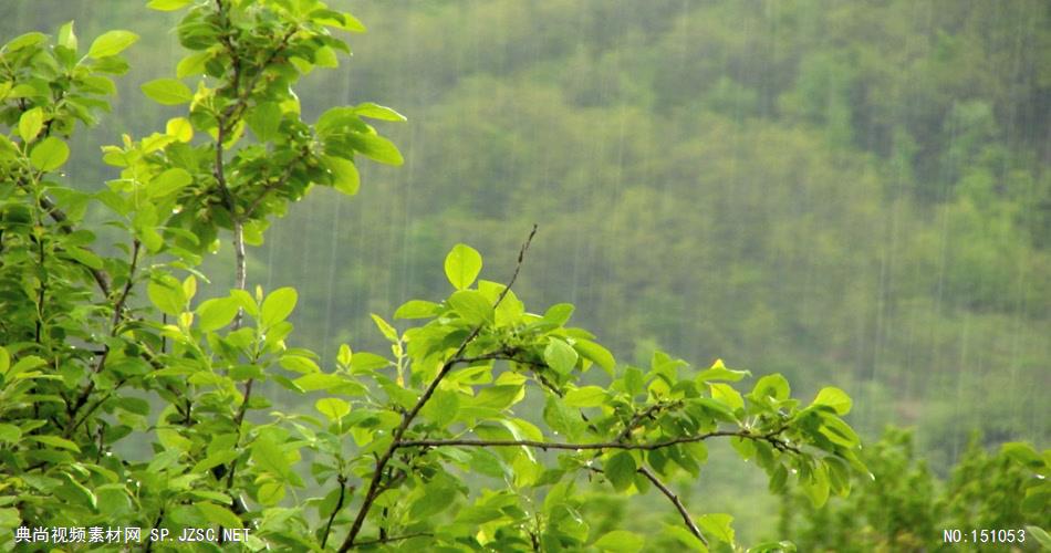 风景0922下雨 美景 自然风光