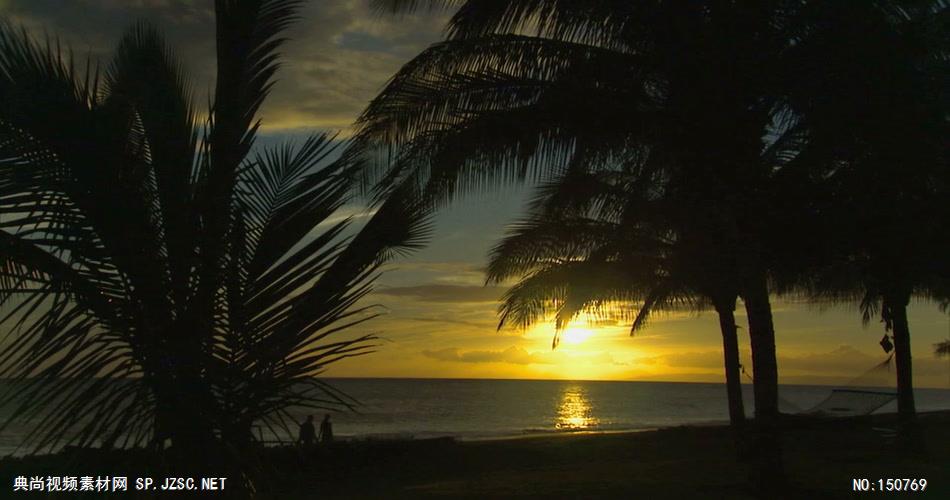 0769-夕阳海岸椰树-自然美景实拍视频