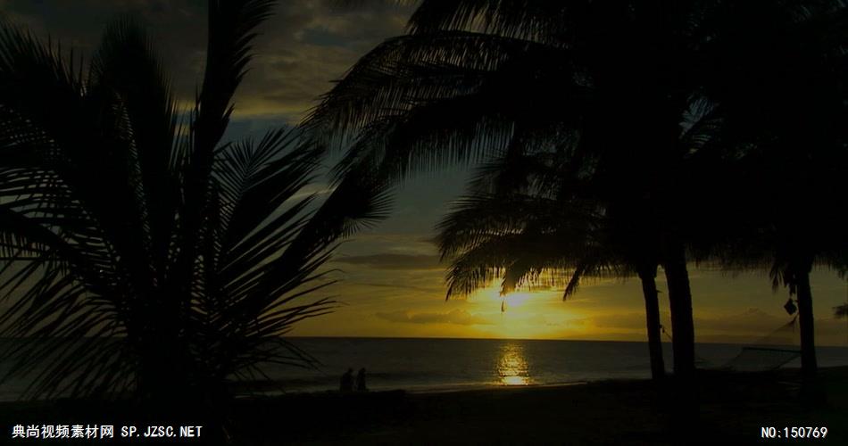0769-夕阳海岸椰树-自然美景实拍视频