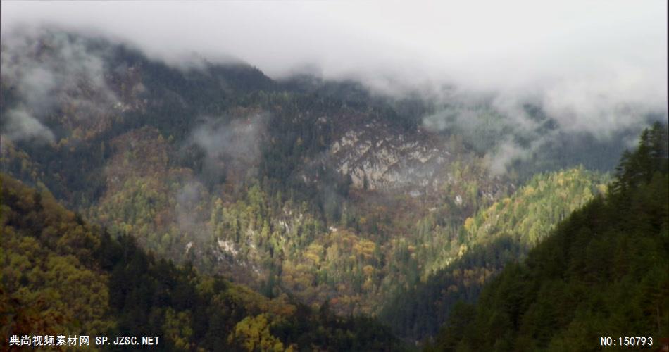 0765-山林雾景1(快速)-自然美景实拍视频