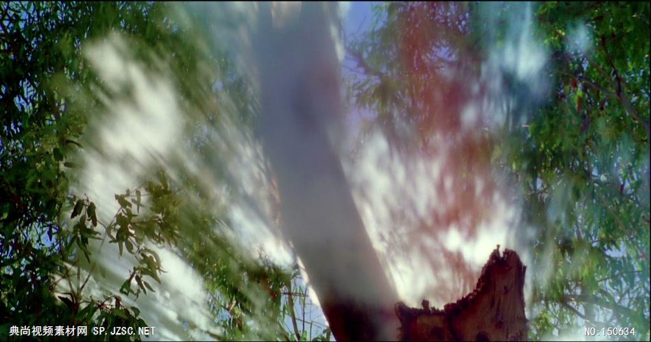 0754-朦胧树影-自然美景实拍视频