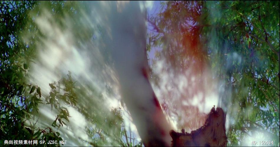 0754-朦胧树影-自然美景实拍视频