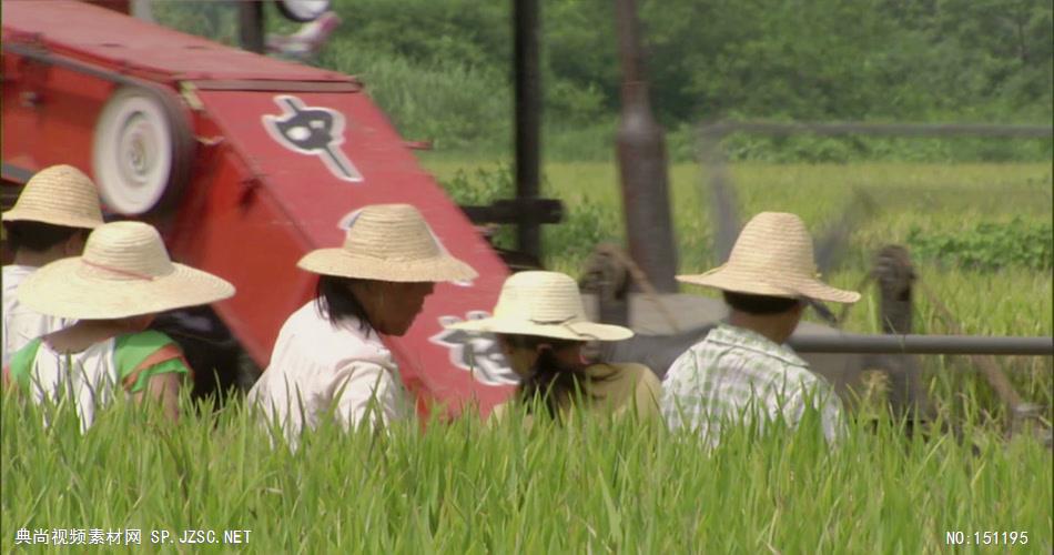 0056A-机械收割水稻2 农业类农田 田地 田野 风景 农村 农民