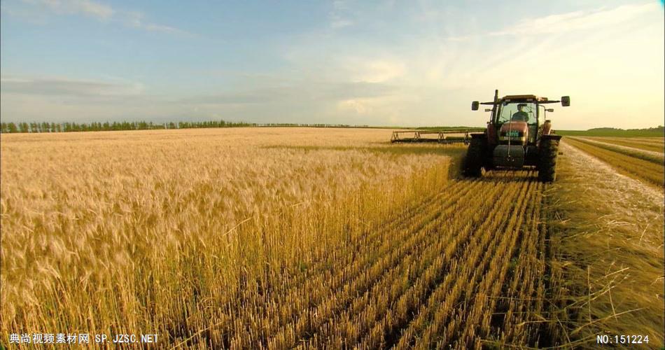 0039-收割小麦(机械收割) 农业类农田 田地 田野 风景 农村 农民