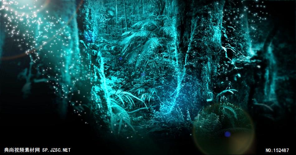 10 梦幻绿色森林 视频动态背景 虚拟背景视频