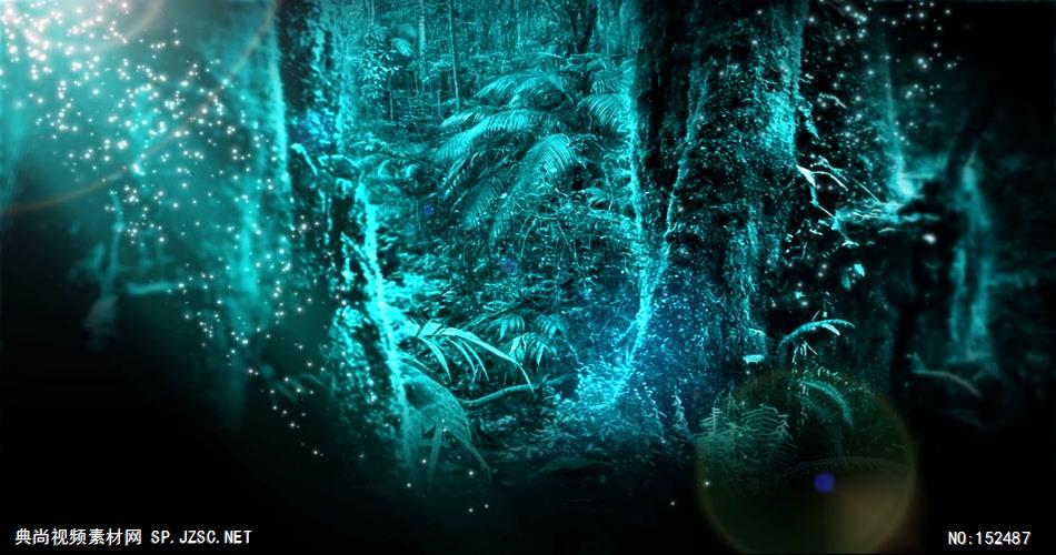 10 梦幻绿色森林 视频动态背景 虚拟背景视频