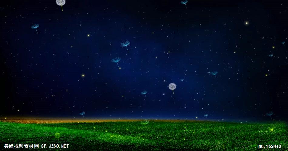 A194-浪漫夜色草地蒲公英 视频动态背景 虚拟背景视频