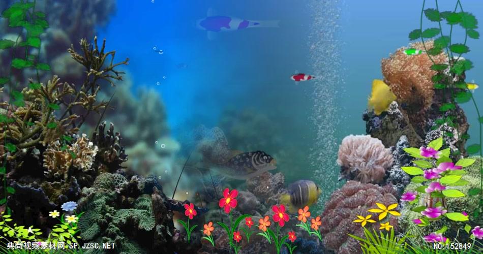 A183-海底世界 视频动态背景 虚拟背景视频