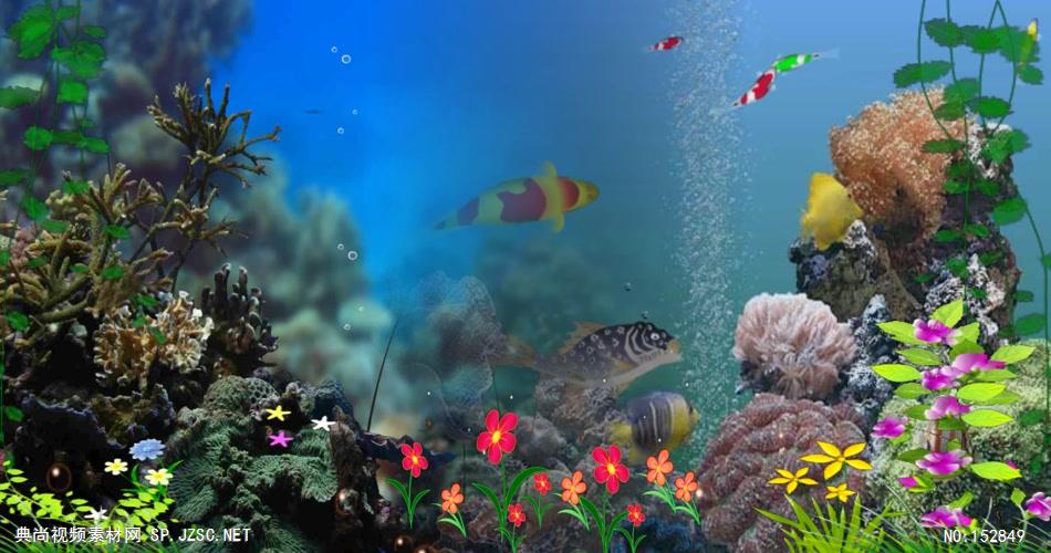 A183-海底世界 视频动态背景 虚拟背景视频