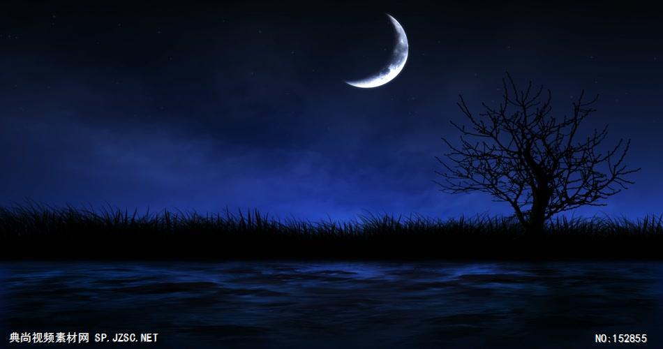 A171-夜晚月亮河水草丛 视频动态背景 虚拟背景视频