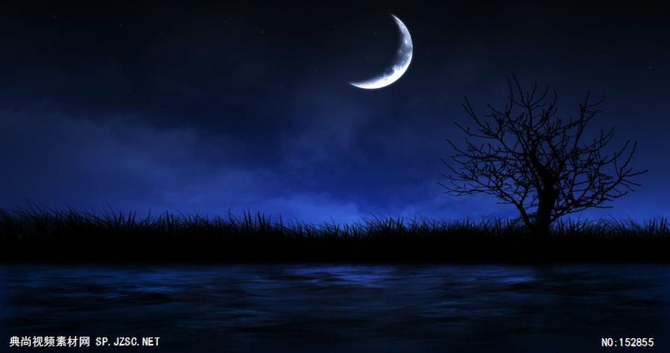 A171-夜晚月亮河水草丛 视频动态背景 虚拟背景视频