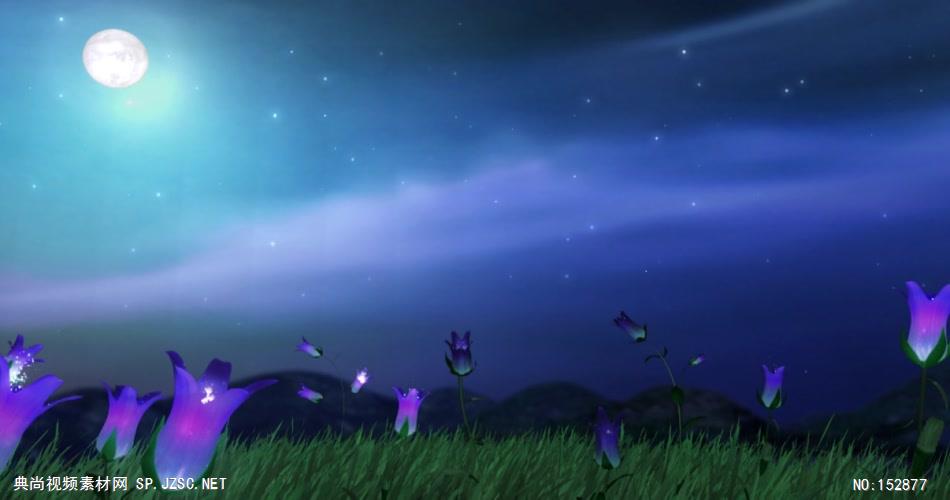A141-中秋明月紫牵牛 视频动态背景 虚拟背景视频