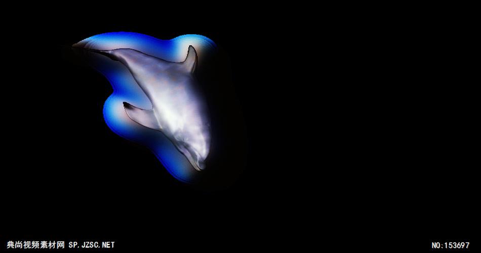 海底世界小鱼游动遮罩素材P_Delfin-sh3大海 海边 海洋