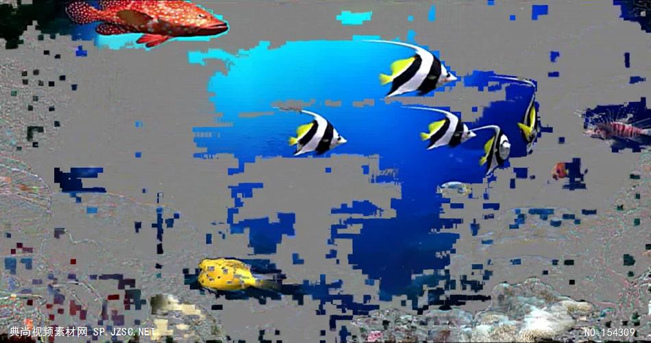 海底世界 鱼海底海浪深海 视频动态背景 虚拟背景视频
