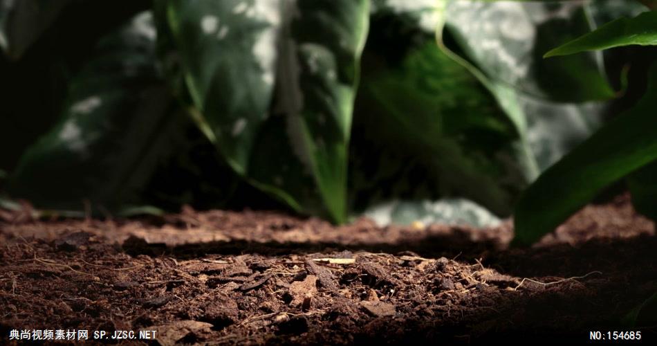 0707-植物快速生长5(破土而出) 15-植物快速生长-1