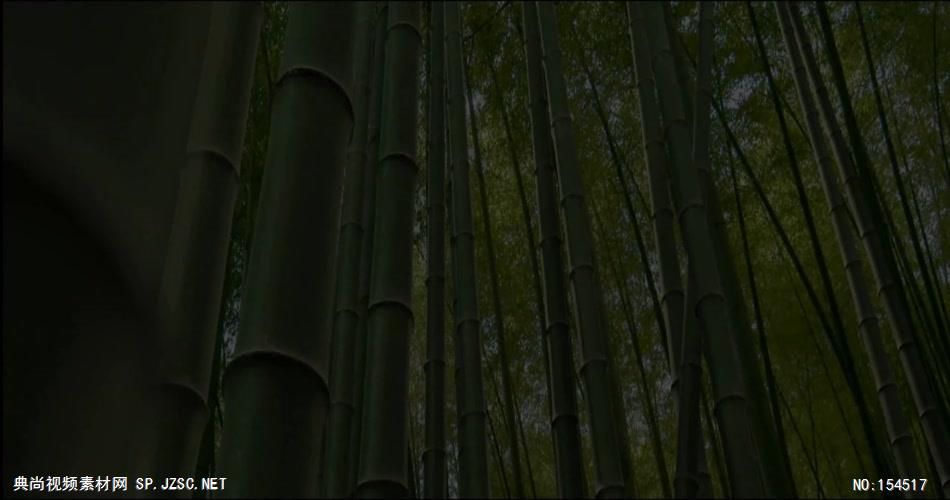 自然森林款竹林听风OV带背景音乐