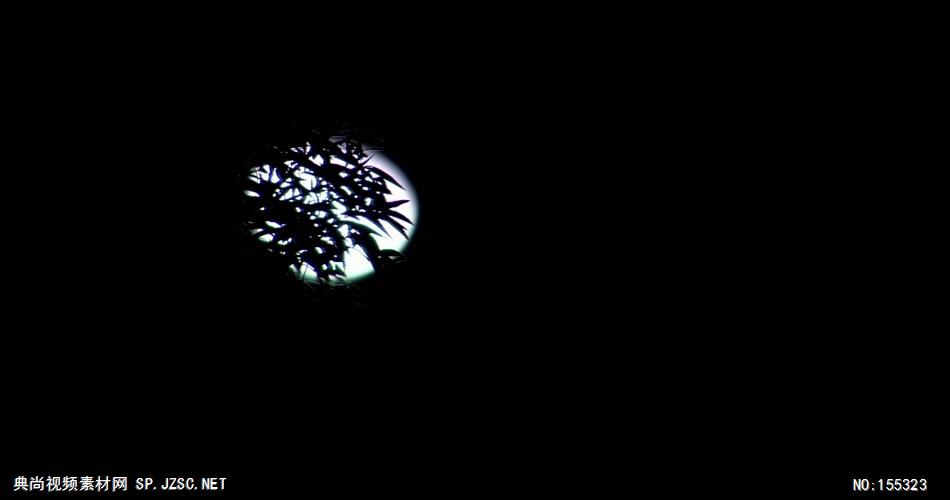 月亮挂在树梢上 实拍月亮视频素材 视频动态背景 虚拟背景视频