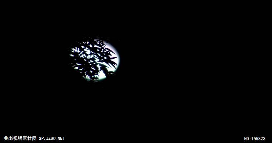月亮挂在树梢上 实拍月亮视频素材 视频动态背景 虚拟背景视频