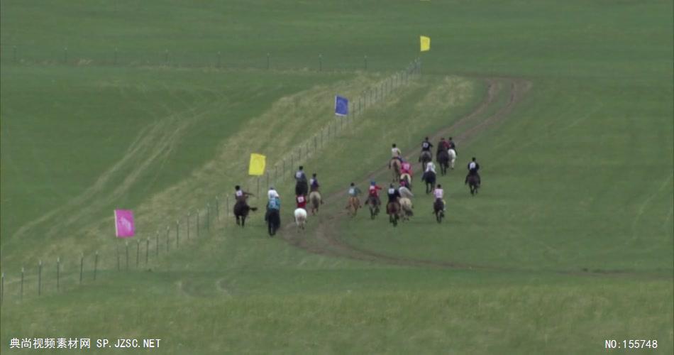 草原上的马 骑马视频奔马视频