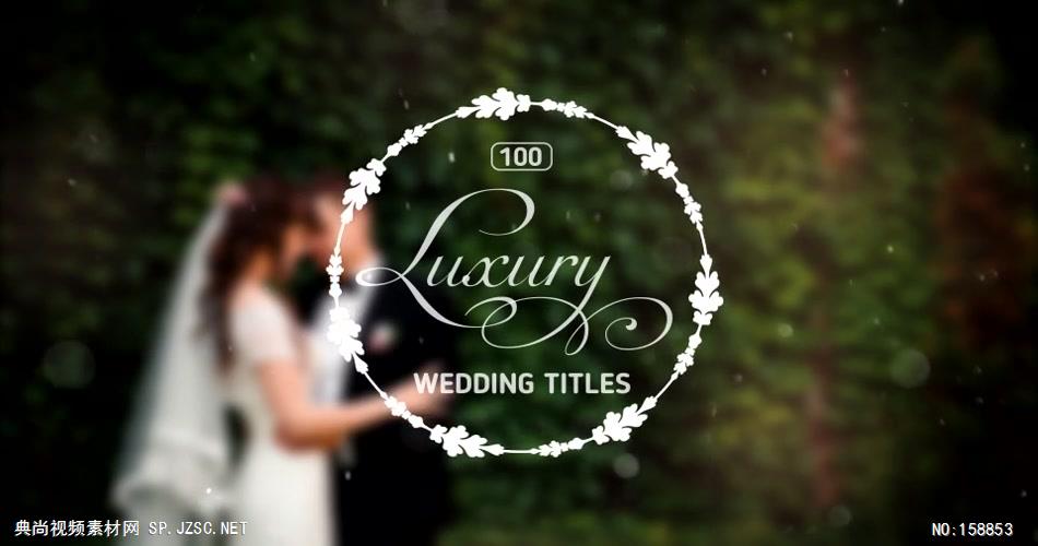 AE：100多种豪华婚礼标题 AE资源ae下载16婚礼结婚相片照片 ae素材 幻灯片