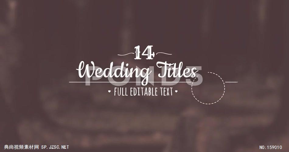 AE：婚礼标题动画 ae特效素材下载16婚礼结婚相片照片 ae素材 幻灯片