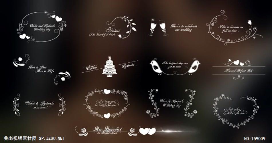 AE：婚礼标题动画包 AE资源ae下载16婚礼结婚相片照片 ae素材 幻灯片