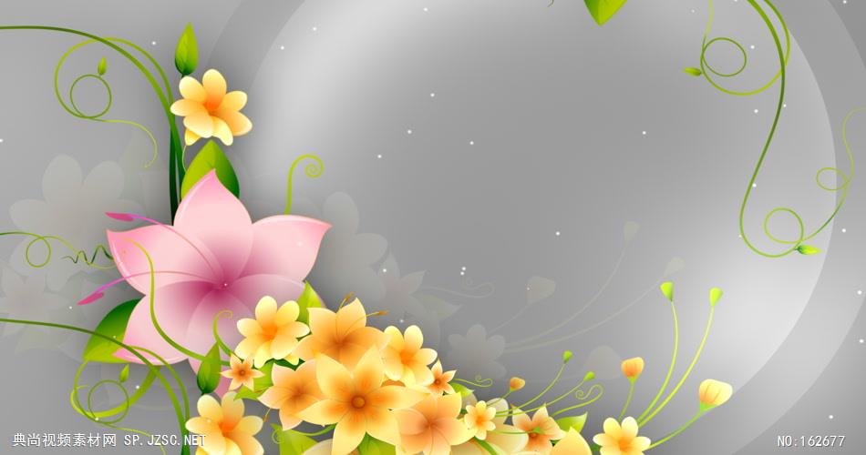 凉爽的春天 Cool Spring动态花瓣背景视频春节 新年 新春佳节 过年