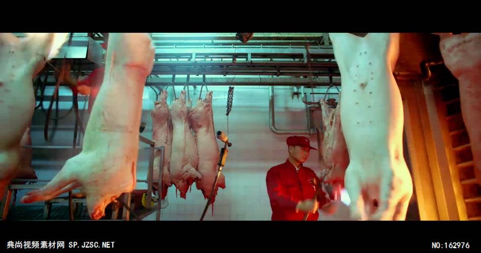 农业畜牧养殖养猪场猪仔小猪吃奶 猪肉加工生产高清实拍视频素材中国实拍视频素材 视频下载中国实拍