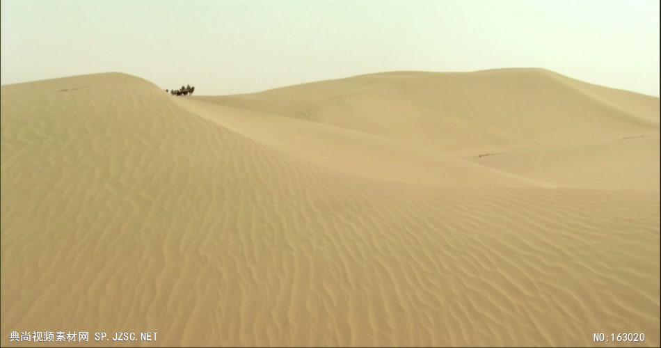 0310-沙漠骆驼队2-沙漠中国实拍视频素材 视频下载中国实拍