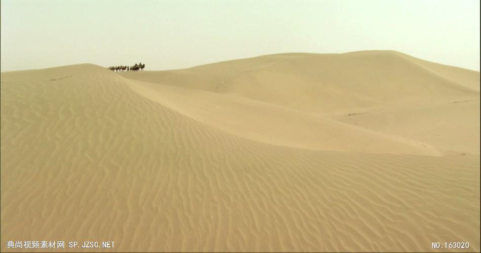 0310-沙漠骆驼队2-沙漠中国实拍视频素材 视频下载中国实拍