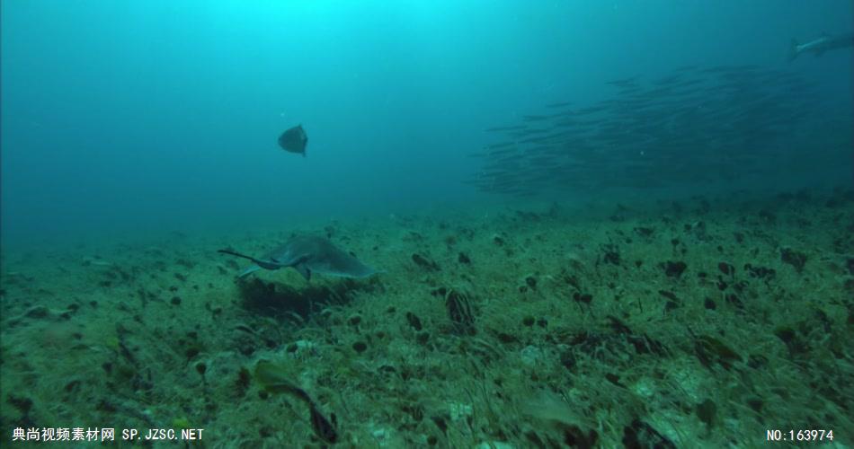 海底海浪深海斑斓海底2 led视频背景 视频素材动态背景