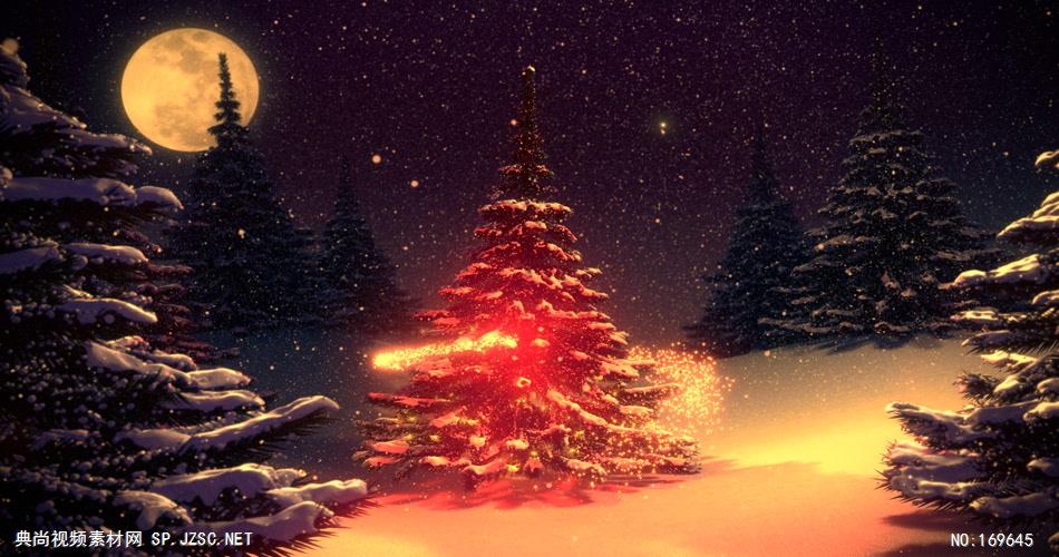 -圣诞节系列款Y3251月亮唯美闪亮梦幻粒子圣诞树 led视频素材库