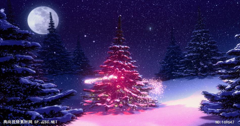 -圣诞节系列款Y3225飘雪下雪梦幻粒子圣诞树 led视频素材库