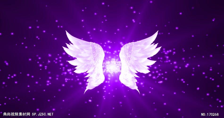 -翅膀款Y4829紫色唯美翅膀 led视频素材库