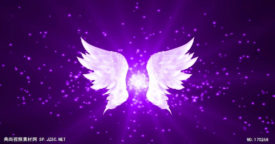 -翅膀款Y4829紫色唯美翅膀 led视频素材库