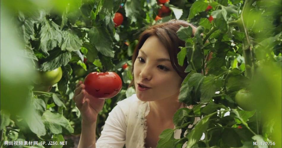 日本高清广告田中麗奈 CM ハウス 完熟トマトのハヤシライスソース「田中麗奈登場」篇广告视频