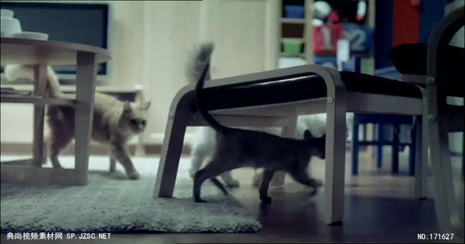 Ikea宜家广告猫咪篇 欧美高清广告视频