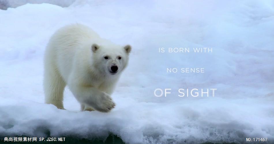 Coca-Cola环保广告 北极熊篇.1080p 欧美高清广告视频