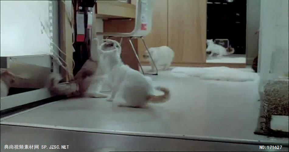 Ikea宜家广告猫咪篇 欧美高清广告视频
