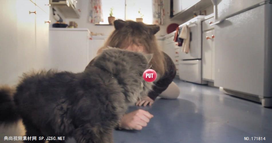 Skittles 彩虹糖搞笑广告猫咪篇.1080p 欧美高清广告视频