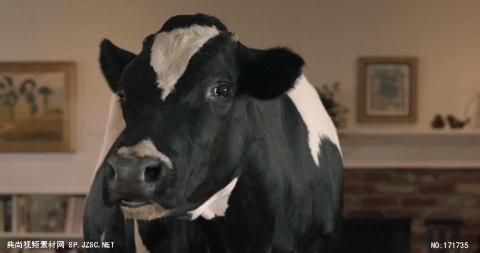 Real CALIFORNIA Milk牛奶广告.1080p 欧美高清广告视频
