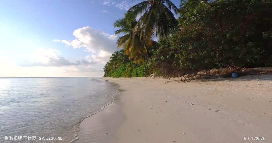 沙滩椰树 款A19132清晨美丽的异国白色沙滩无音乐_batch led视频背景下载