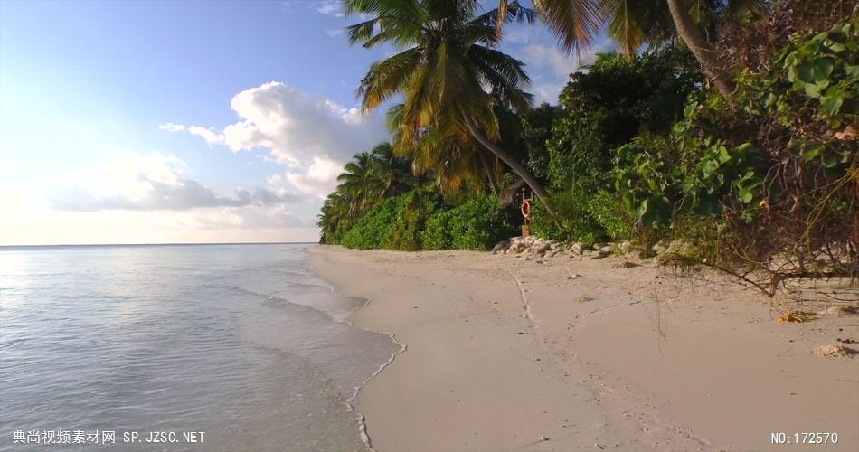 沙滩椰树 款A19132清晨美丽的异国白色沙滩无音乐_batch led视频背景下载